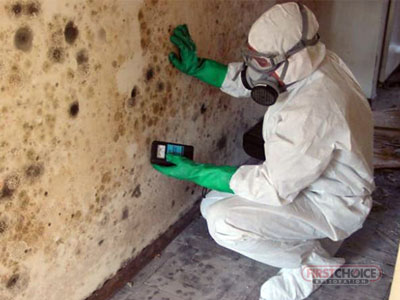 Mold Remediation Services in Philadelphia, PA – First Choice Restoration – Mold Removal Technician Image