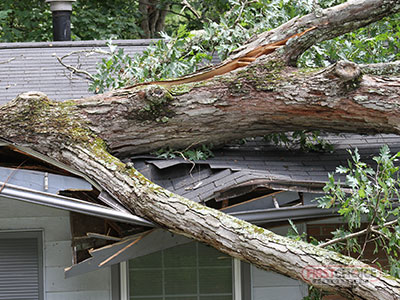 Wind and Storm Damage Restoration in Philadelphia, PA – First Choice Restoration – Wind Damaged Property Image
