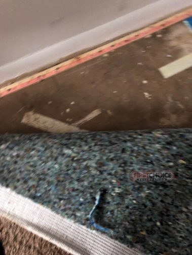 Disaster Restoration Services in Philadelphia, PA – First Choice Restoration - Water Damage