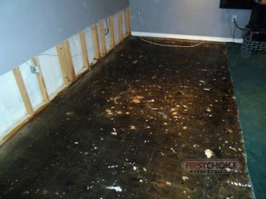 Disaster Restoration Services in Philadelphia, PA – First Choice Restoration - Mold Remediation
