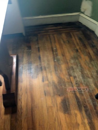 Disaster Restoration Services in Philadelphia, PA – First Choice Restoration – Water - Mold Damage