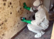 Mold Problem ? - First Choice Restoration Mold Remediation Image