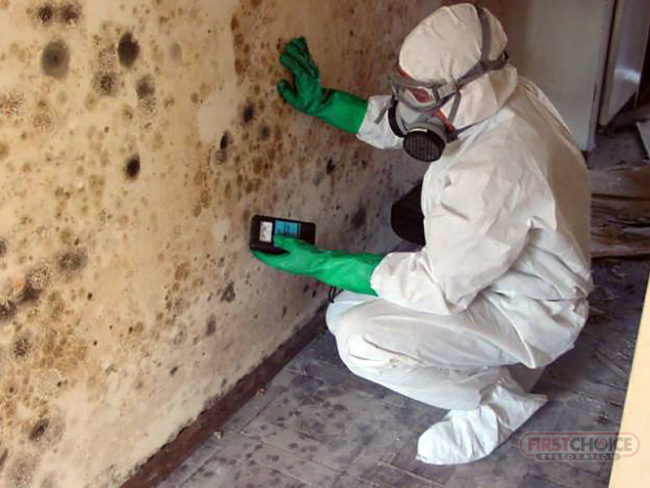 First Choice Restoration Mold Remediation Mold Problem ? - First Choice Restoration Mold Remediation Image