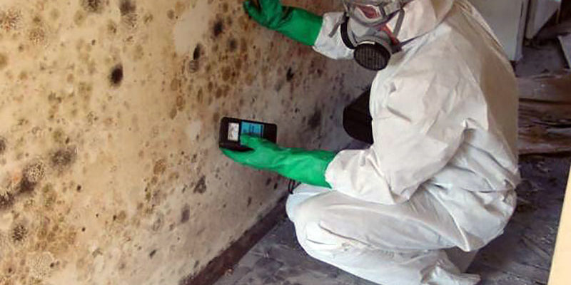 First Choice Restoration Mold Remediation Mold Problem ? - First Choice Restoration Mold Remediation Image