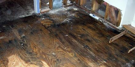 First Choice Restoration – Why Hire a Water Damage Cleanup Company? First Choice Restoration - Water damage image