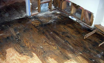 First Choice Restoration – Why Hire a Water Damage Cleanup Company? First Choice Restoration - Water damage image
