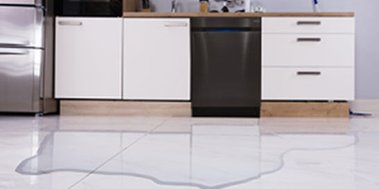 when-diswashers-leak