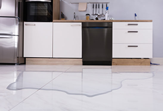 when-diswashers-leak