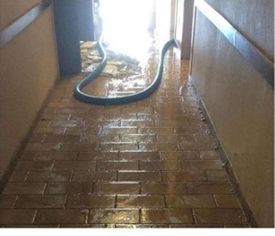 First Choice Restoration - Coronavirus Sewage Cleanup Image