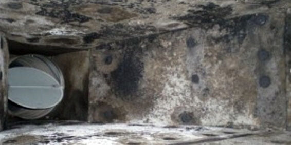 HVAC Mold Prevention First Choice Restoration - Mold HVAC