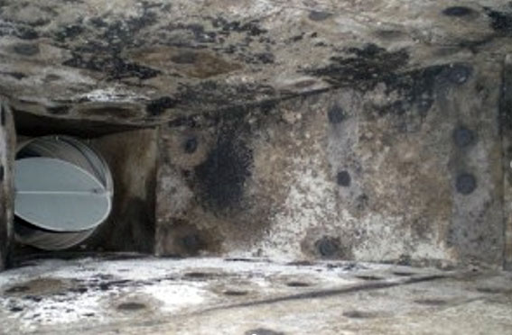 First Choice Restoration - Mold HVAC