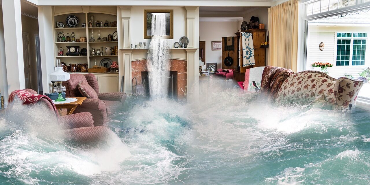 Why Hire a Water Damage Cleanup Company